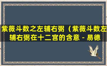 紫薇斗数之左辅右弼（紫薇斗数左辅右弼在十二宫的含意 - 易德居）